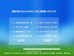 ľLGhost Win8.1 64λ v201704(⼤)