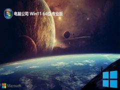 X˾win11(bio)(zhn)64λv2024.11